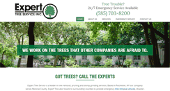 Desktop Screenshot of callexperttree.com